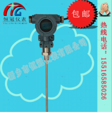  射頻導(dǎo)納液位計(jì)的工作原理如何？